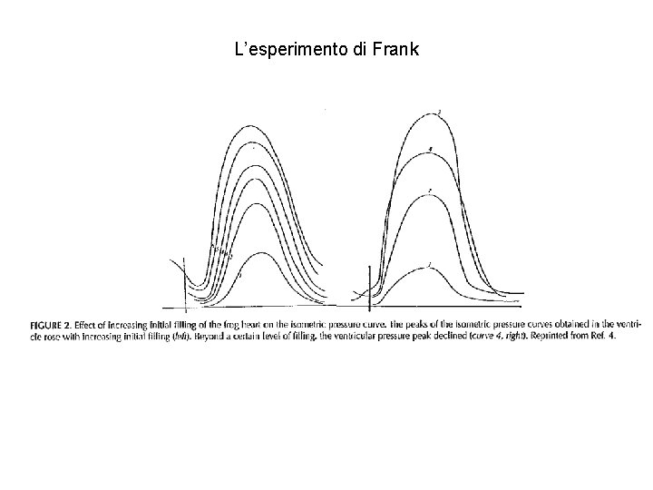 L’esperimento di Frank 