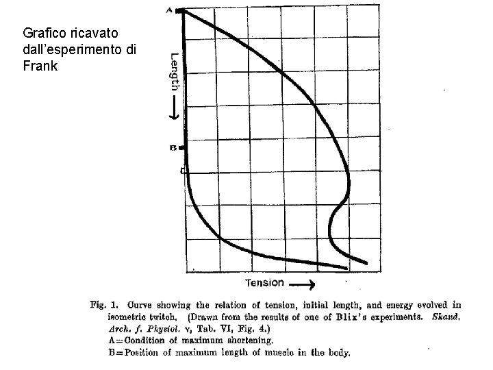 Grafico ricavato dall’esperimento di Frank 