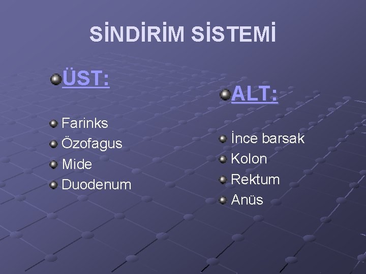 SİNDİRİM SİSTEMİ ÜST: Farinks Özofagus Mide Duodenum ALT: İnce barsak Kolon Rektum Anüs 