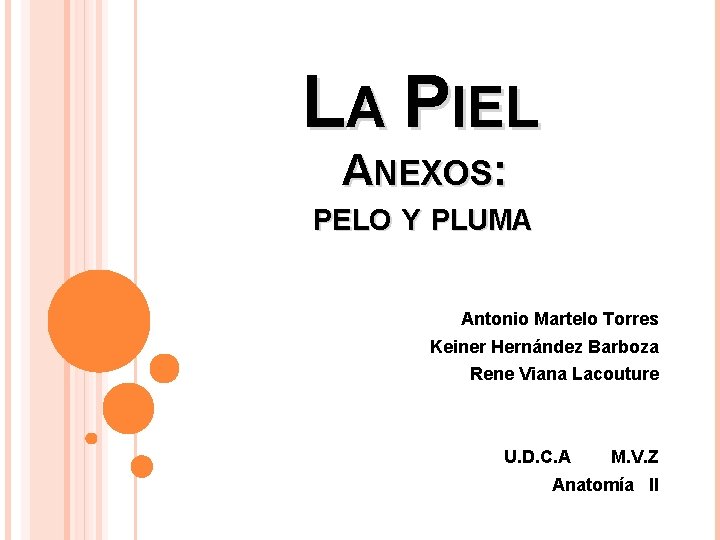 LA PIEL ANEXOS: PELO Y PLUMA Antonio Martelo Torres Keiner Hernández Barboza Rene Viana LA PIEL ANEXOS: PELO Y PLUMA Antonio Martelo Torres Keiner Hernández Barboza Rene Viana