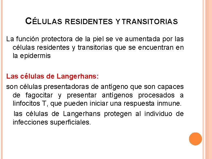 CÉLULAS RESIDENTES Y TRANSITORIAS La función protectora de la piel se ve aumentada por CÉLULAS RESIDENTES Y TRANSITORIAS La función protectora de la piel se ve aumentada por