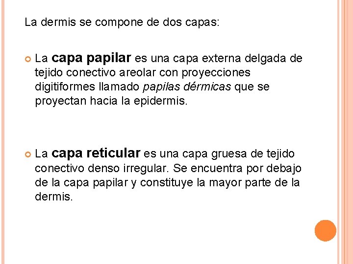 La dermis se compone de dos capas: La capa papilar es una capa externa La dermis se compone de dos capas: La capa papilar es una capa externa