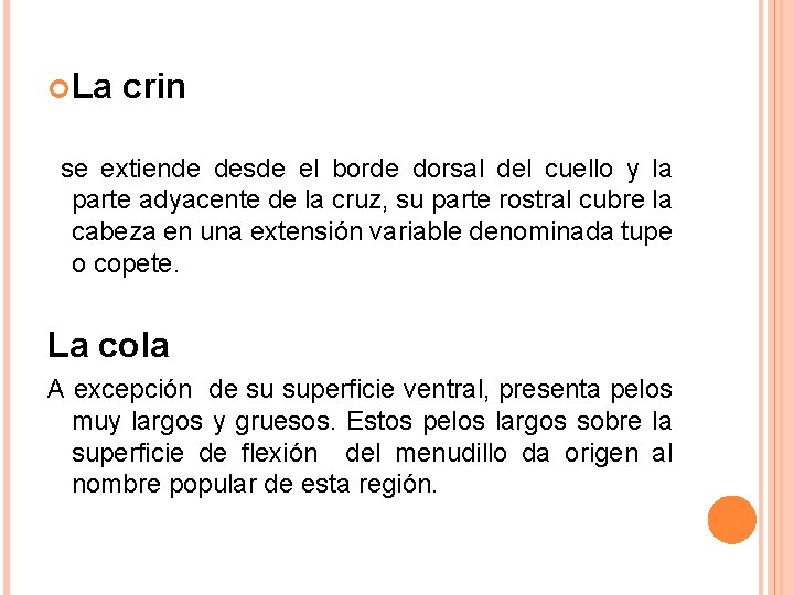 La crin se extiende desde el borde dorsal del cuello y la parte La crin se extiende desde el borde dorsal del cuello y la parte