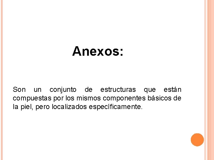 Anexos: Son un conjunto de estructuras que están compuestas por los mismos componentes básicos Anexos: Son un conjunto de estructuras que están compuestas por los mismos componentes básicos