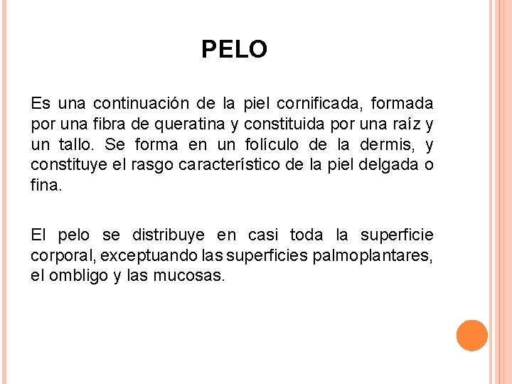 PELO Es una continuación de la piel cornificada, formada por una fibra de queratina PELO Es una continuación de la piel cornificada, formada por una fibra de queratina