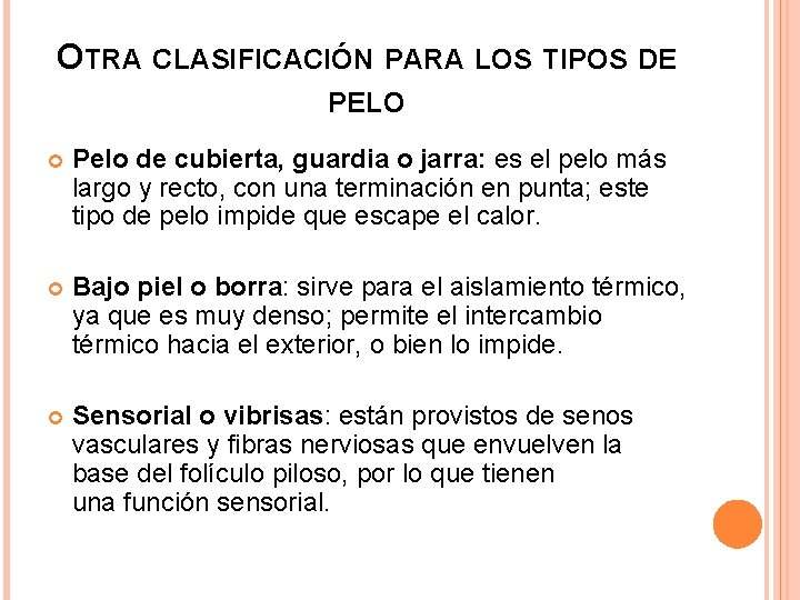 OTRA CLASIFICACIÓN PARA LOS TIPOS DE PELO Pelo de cubierta, guardia o jarra: es OTRA CLASIFICACIÓN PARA LOS TIPOS DE PELO Pelo de cubierta, guardia o jarra: es
