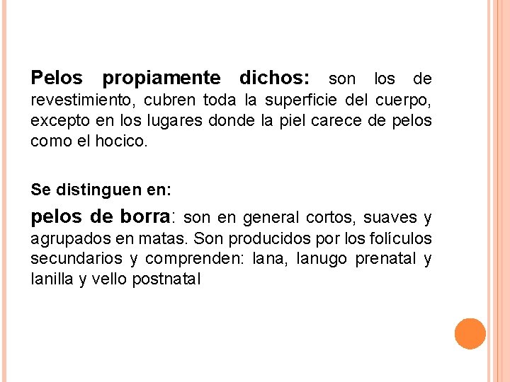 Pelos propiamente dichos: son los de revestimiento, cubren toda la superficie del cuerpo, excepto Pelos propiamente dichos: son los de revestimiento, cubren toda la superficie del cuerpo, excepto