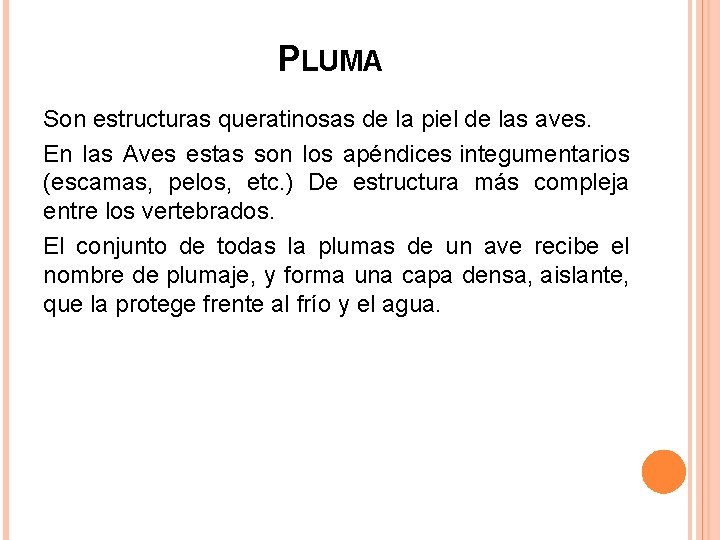 PLUMA Son estructuras queratinosas de la piel de las aves. En las Aves estas PLUMA Son estructuras queratinosas de la piel de las aves. En las Aves estas