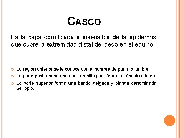 CASCO Es la capa cornificada e insensible de la epidermis que cubre la extremidad CASCO Es la capa cornificada e insensible de la epidermis que cubre la extremidad
