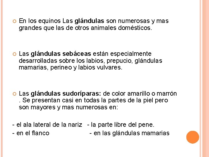 En los equinos Las glándulas son numerosas y mas grandes que las de En los equinos Las glándulas son numerosas y mas grandes que las de