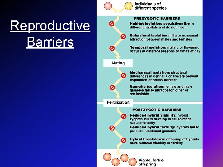 Reproductive Barriers 