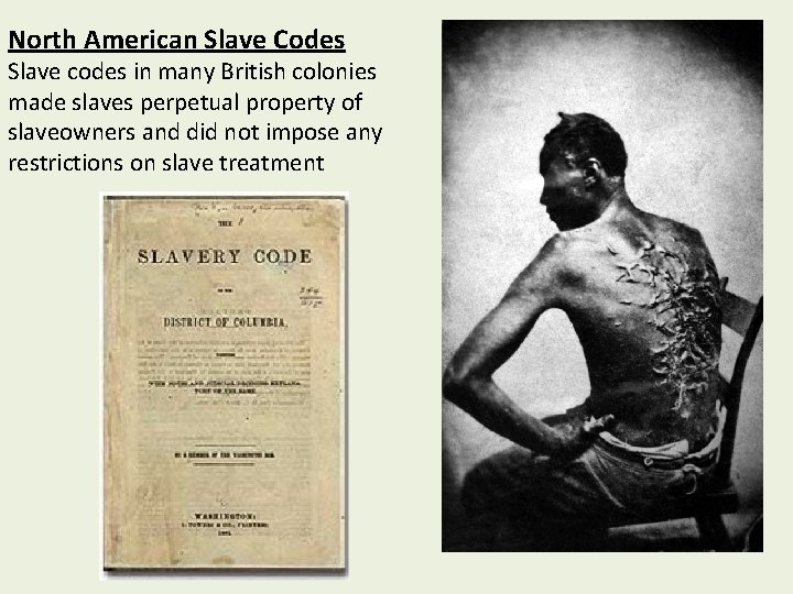 North American Slave Codes Slave codes in many British colonies made slaves perpetual property