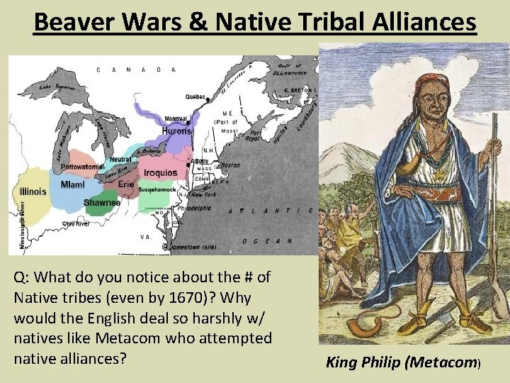 Beaver Wars & Native Tribal Alliances Q: What do you notice about the #