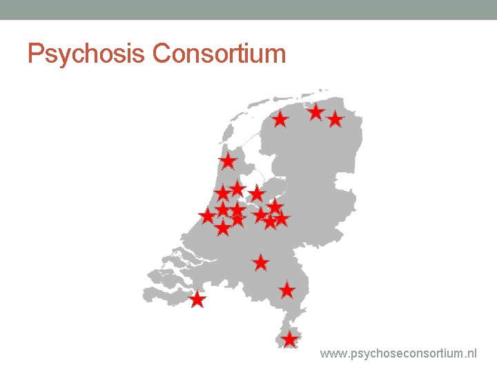 Psychosis Consortium www. psychoseconsortium. nl 