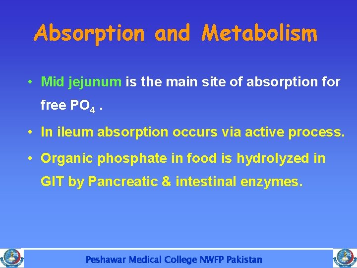 Absorption and Metabolism • Mid jejunum is the main site of absorption for free