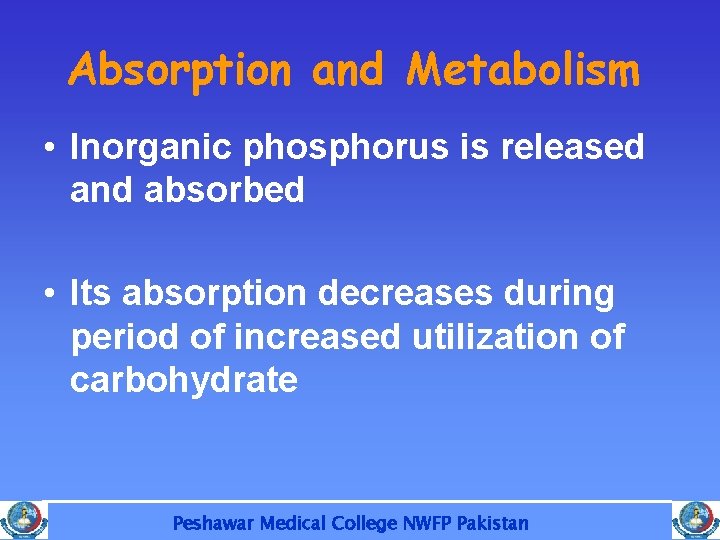 Absorption and Metabolism • Inorganic phosphorus is released and absorbed • Its absorption decreases