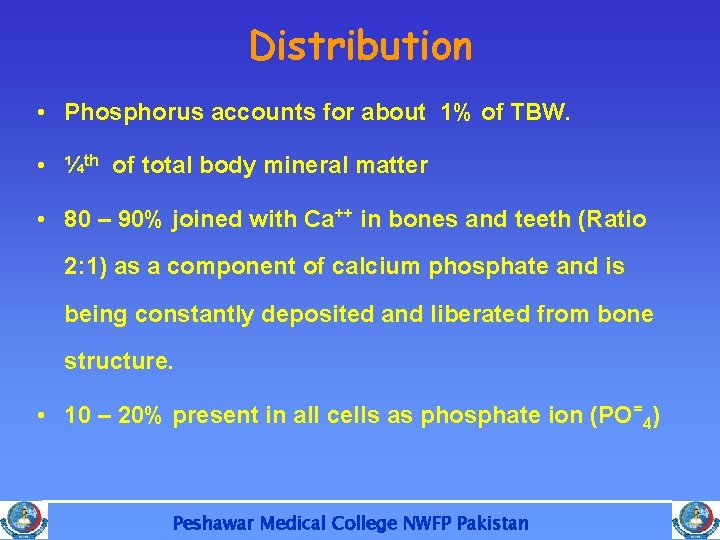 Distribution • Phosphorus accounts for about 1% of TBW. • ¼th of total body