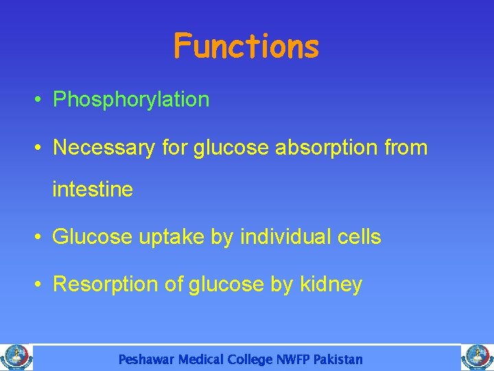 Functions • Phosphorylation • Necessary for glucose absorption from intestine • Glucose uptake by