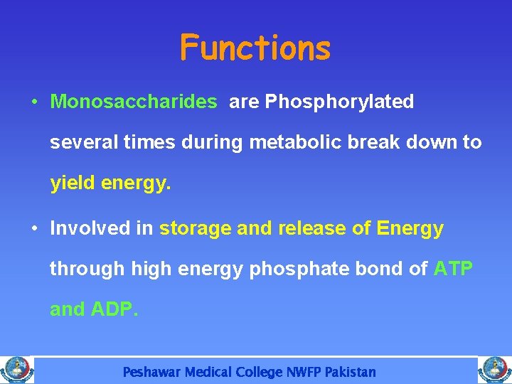 Functions • Monosaccharides are Phosphorylated several times during metabolic break down to yield energy.