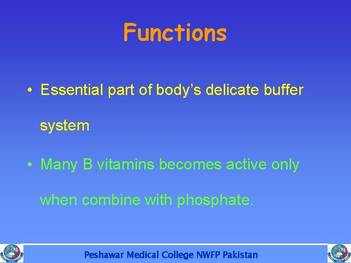 Functions • Essential part of body’s delicate buffer system • Many B vitamins becomes