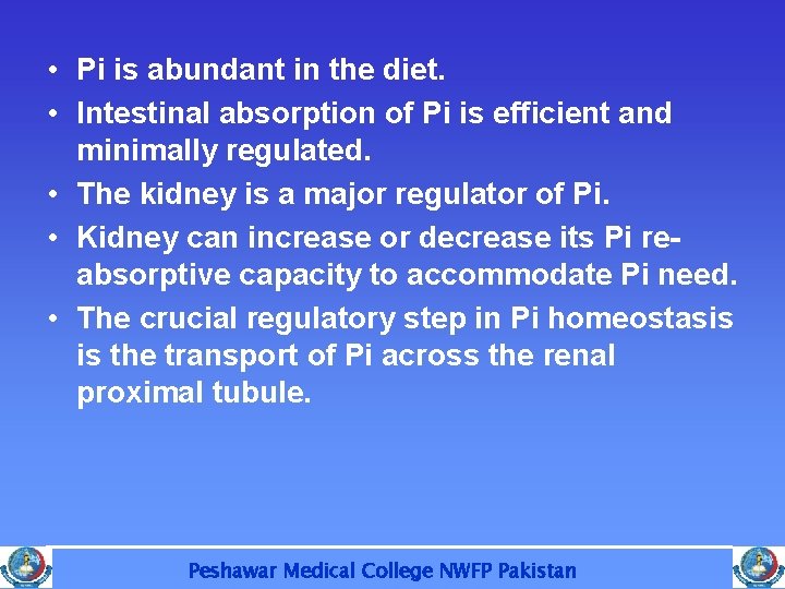  • Pi is abundant in the diet. • Intestinal absorption of Pi is