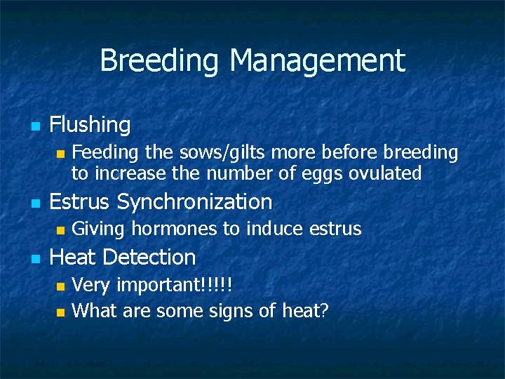 Breeding Management n Flushing n n Estrus Synchronization n n Feeding the sows/gilts more