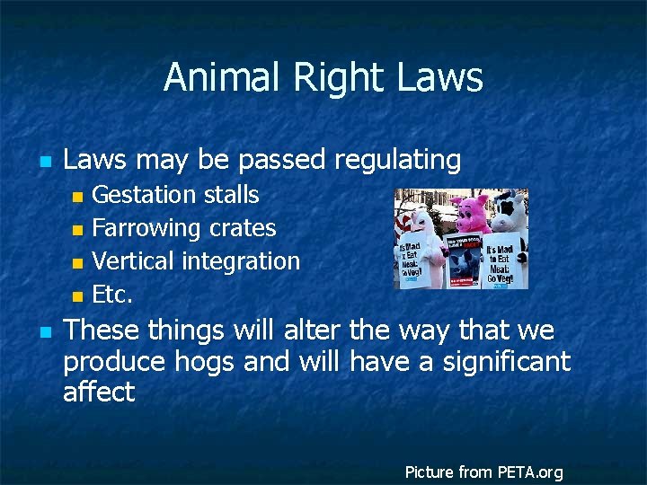 Animal Right Laws n Laws may be passed regulating Gestation stalls n Farrowing crates
