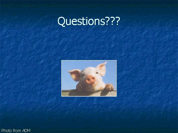 Questions? ? ? Photo from ADM 