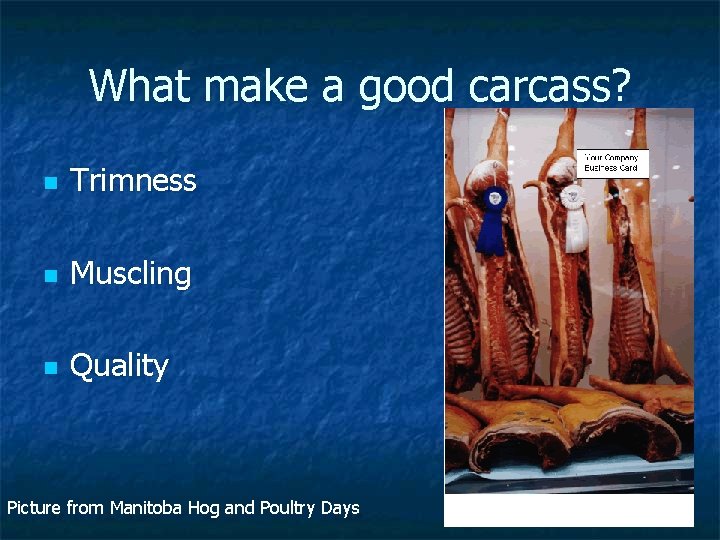 What make a good carcass? n Trimness n Muscling n Quality Picture from Manitoba