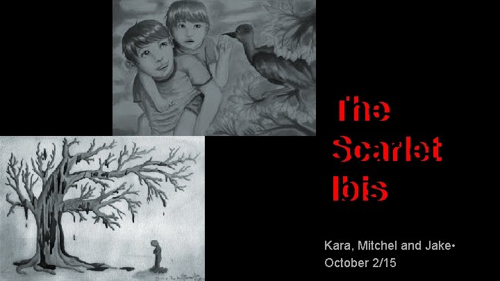 The Scarlet Ibis Kara, Mitchel and Jake • October 2/15 