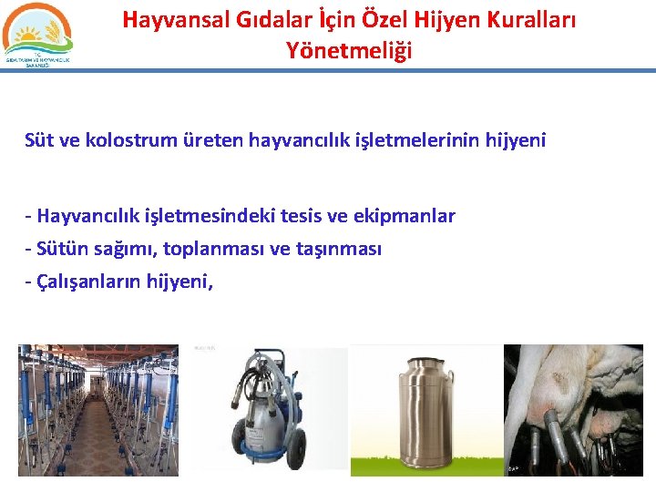 Hayvansal Gıdalar İçin Özel Hijyen Kuralları Yönetmeliği Süt ve kolostrum üreten hayvancılık işletmelerinin hijyeni