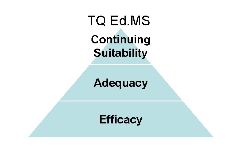 TQ Ed. MS Continuing Suitability Adequacy Efficacy 