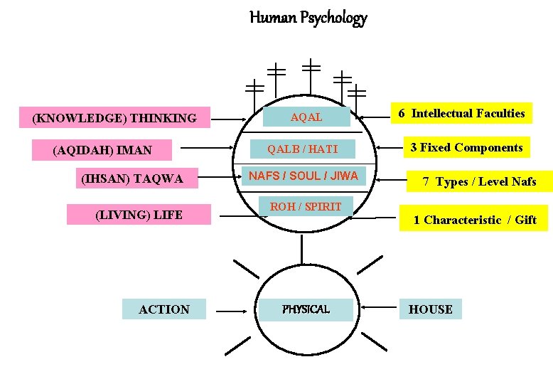 Human Psychology (KNOWLEDGE) THINKING (AQIDAH) IMAN (IHSAN) TAQWA (LIVING) LIFE ACTION AQAL QALB /