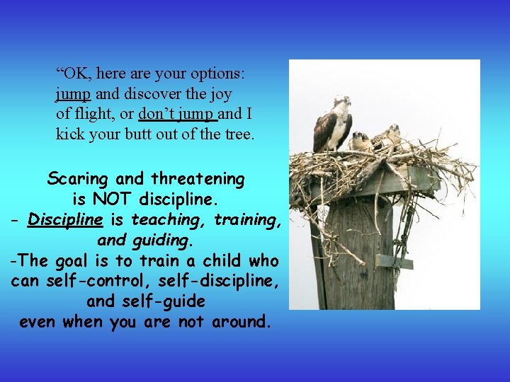 “OK, here are your options: jump and discover the joy of flight, or don’t