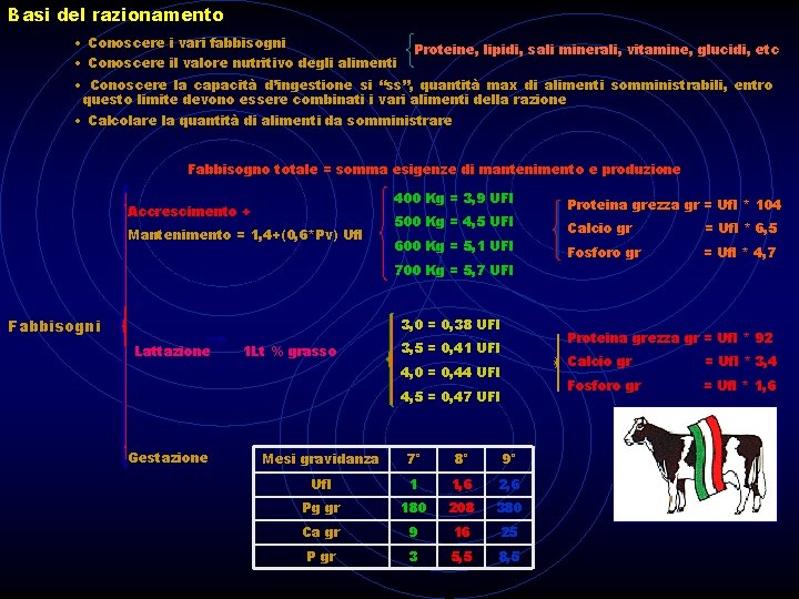 Basi del razionamento • Conoscere i vari fabbisogni • Conoscere il valore nutritivo degli