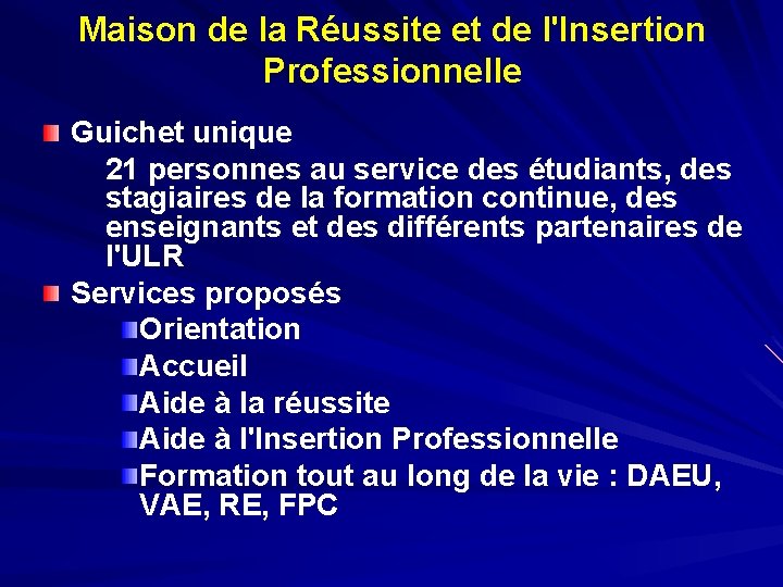 Maison de la Réussite et de l'Insertion Professionnelle Guichet unique 21 personnes au service