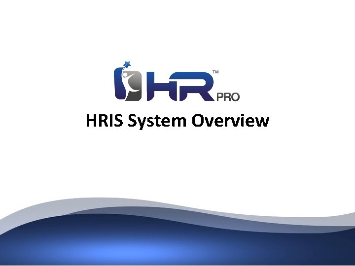 HRIS System Overview 