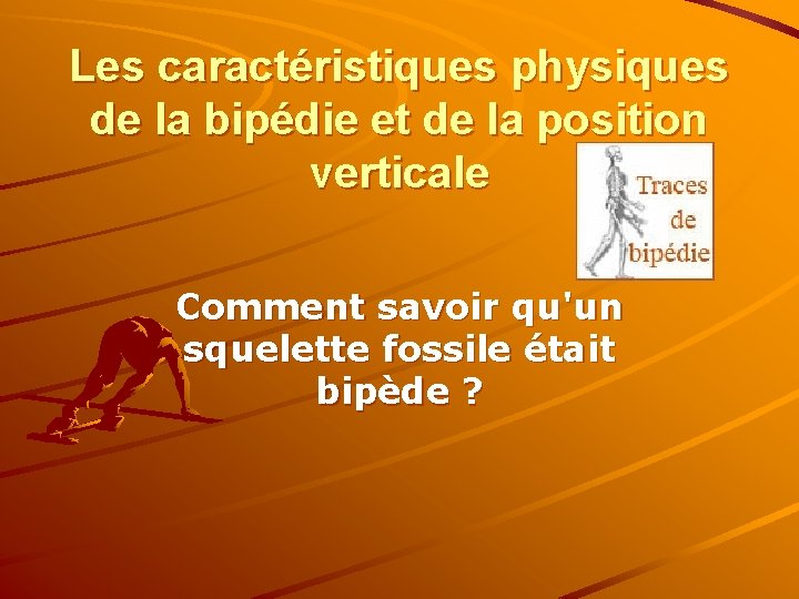 Les caractéristiques physiques de la bipédie et de la position verticale Comment savoir qu'un