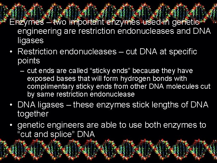Enzymes – two important enzymes used in genetic engineering are restriction endonucleases and DNA