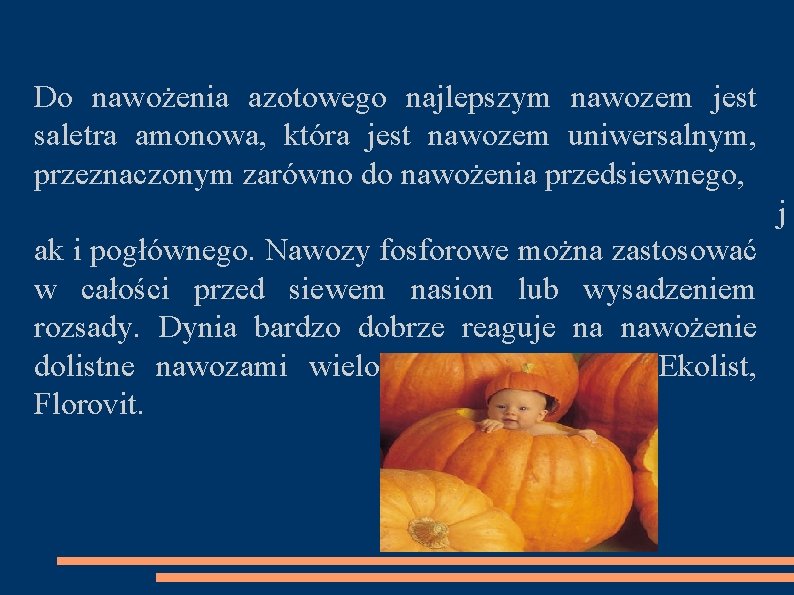 Do nawożenia azotowego najlepszym nawozem jest saletra amonowa, która jest nawozem uniwersalnym, przeznaczonym zarówno