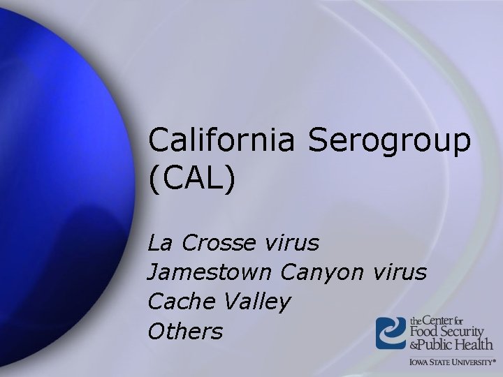 California Serogroup (CAL) La Crosse virus Jamestown Canyon virus Cache Valley Others 