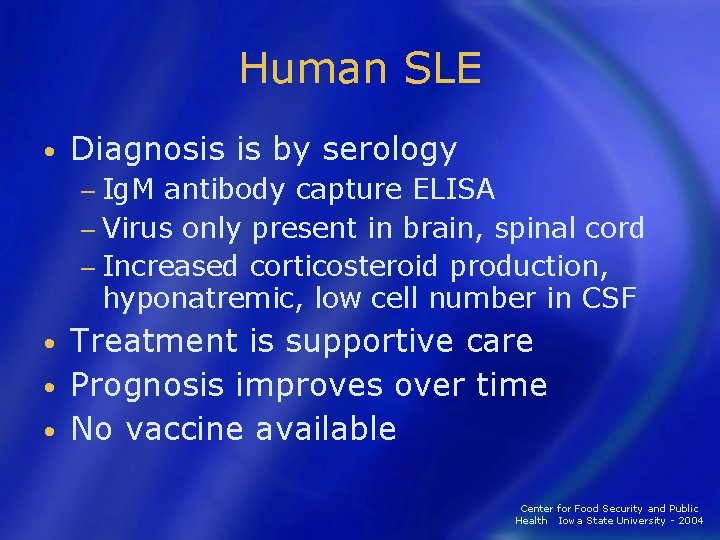 Human SLE • Diagnosis is by serology − Ig. M antibody capture ELISA −