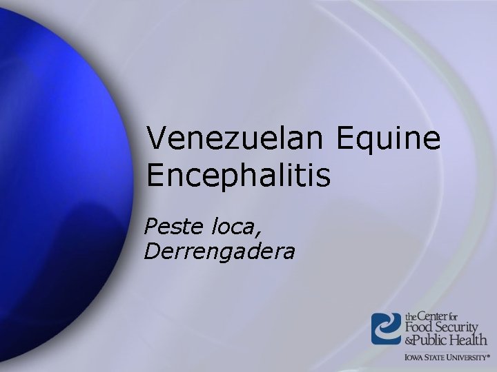 Venezuelan Equine Encephalitis Peste loca, Derrengadera 