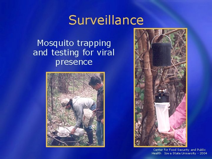 Surveillance Mosquito trapping and testing for viral presence Center for Food Security and Public