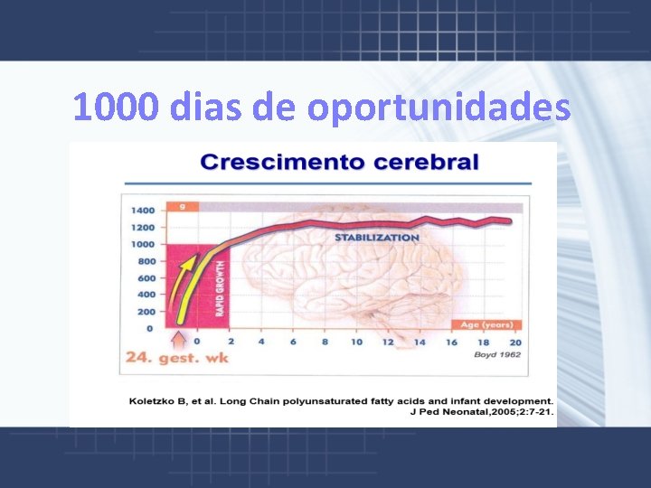  1000 dias de oportunidades 