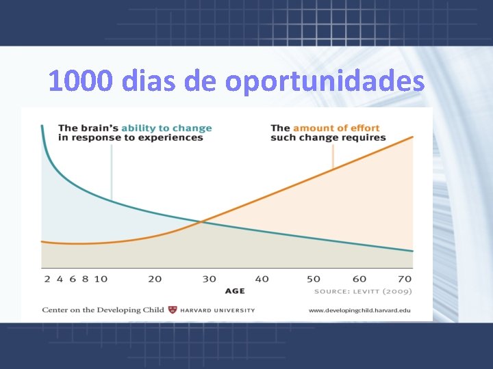  1000 dias de oportunidades 