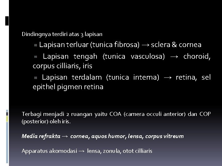 Dindingnya terdiri atas 3 lapisan Lapisan terluar (tunica fibrosa) → sclera & cornea Lapisan