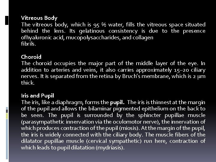 Vitreous Body The vitreous body, which is 95 % water, fills the vitreous space