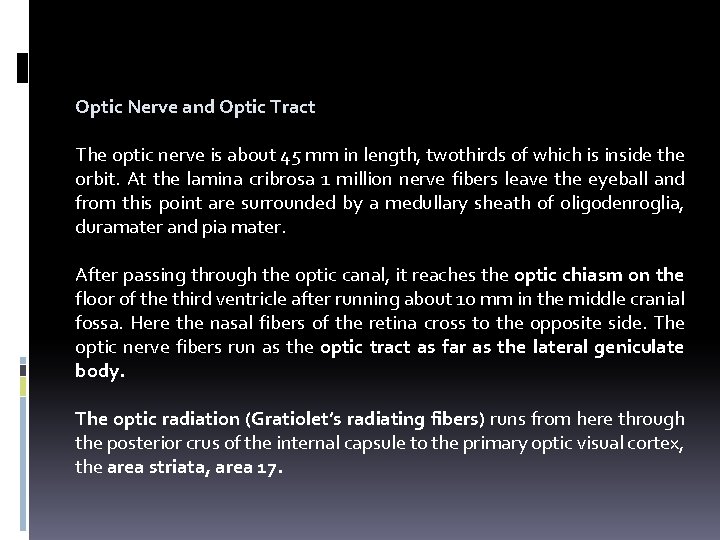 Optic Nerve and Optic Tract The optic nerve is about 45 mm in length,