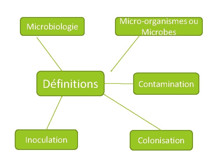 Microbiologie Définitions Inoculation Micro-organismes ou Microbes Contamination Colonisation 
